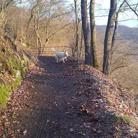 A Restaurace Nad Hradem Gasthof *