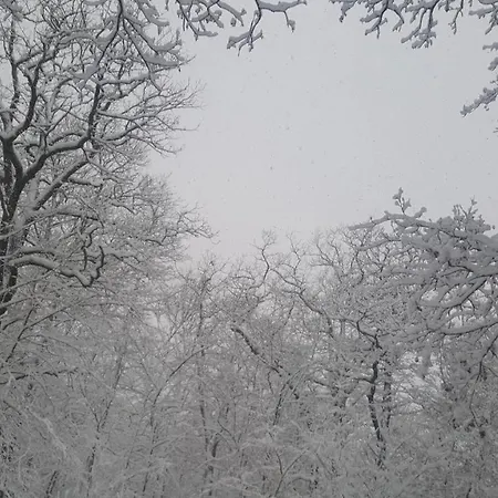Gasthof A Restaurace Nad Hradem Křivoklát