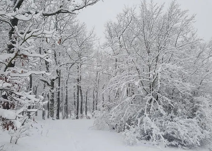 Penzion A Restaurace Nad Hradem *