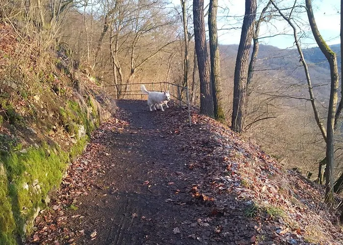 A Restaurace Nad Hradem Penzion *
