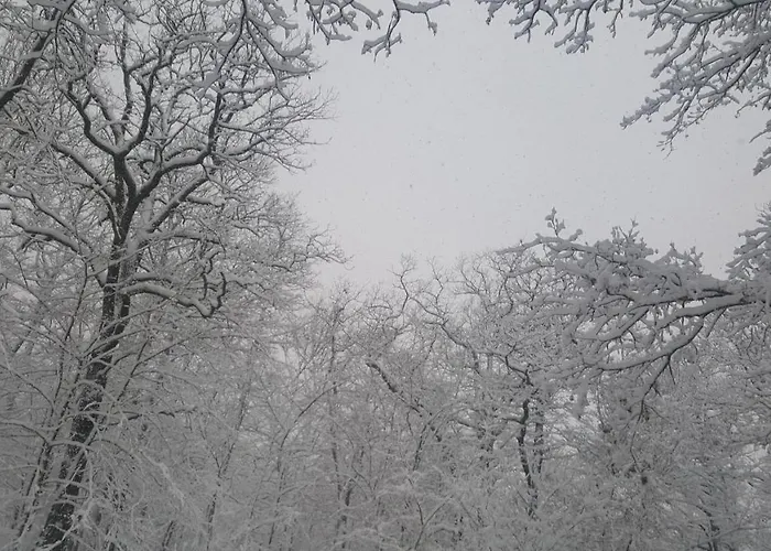 Penzion A Restaurace Nad Hradem Křivoklát